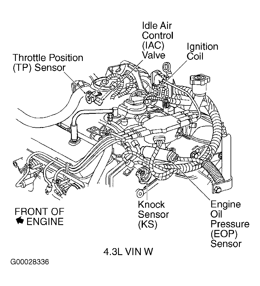 G00028336