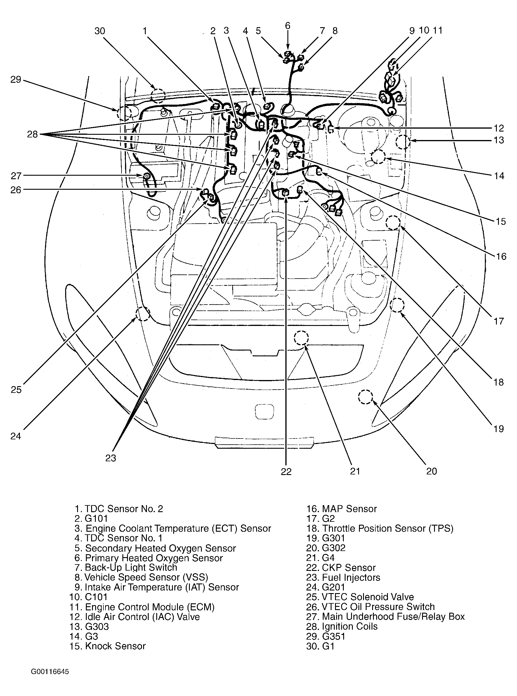 G00116645