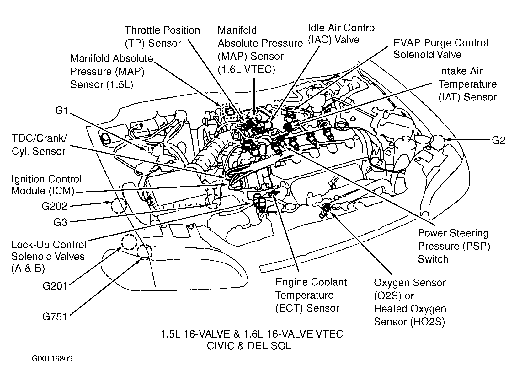 G00116809