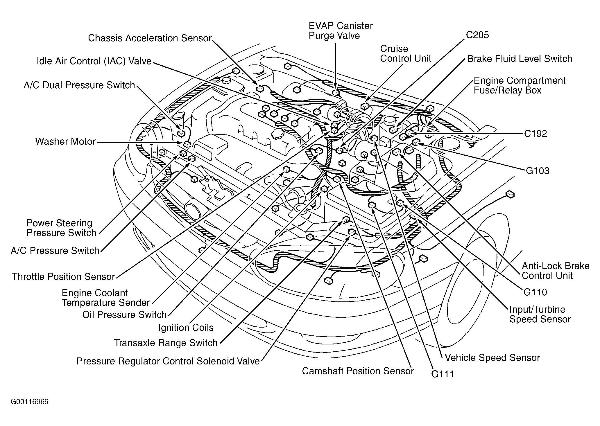 G00116966