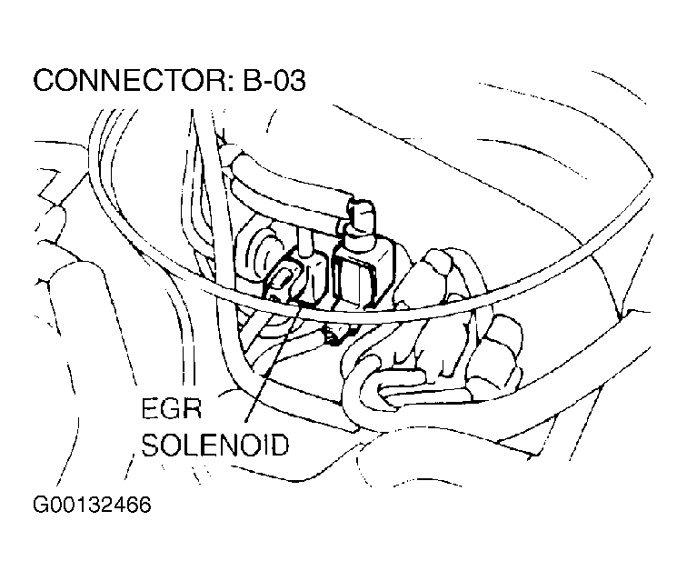 G00132466