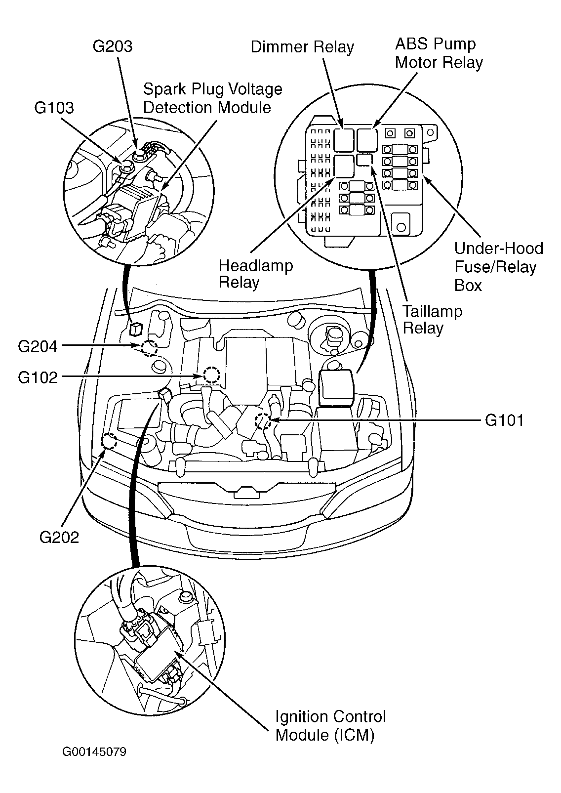 G00145079