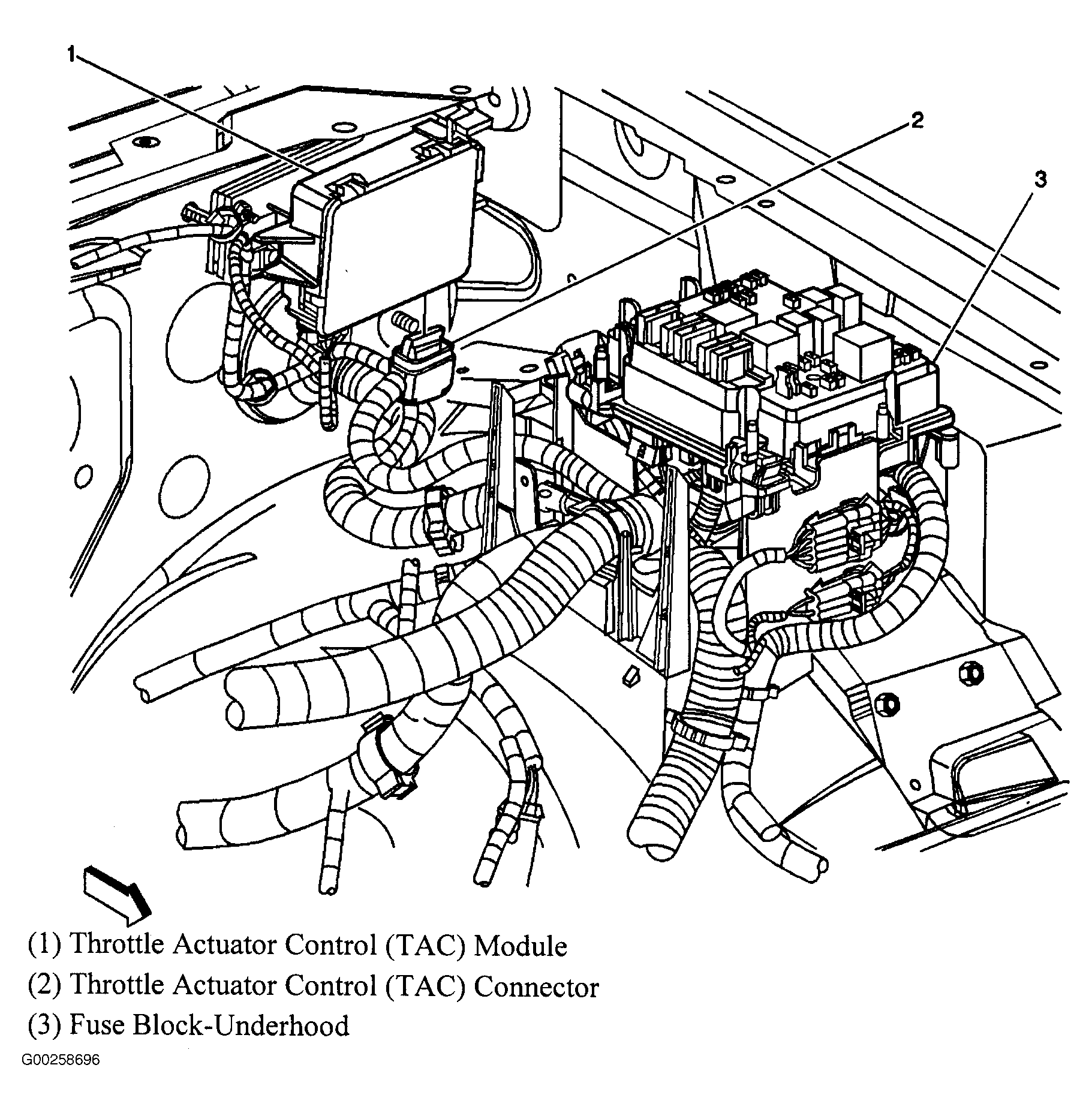 G00258696