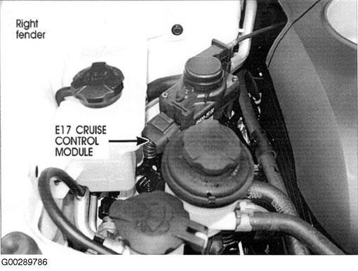 G00289786