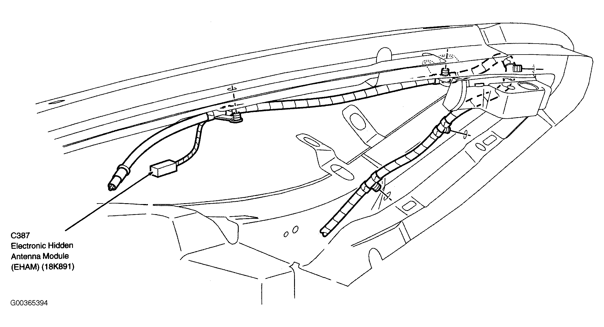 G00365394