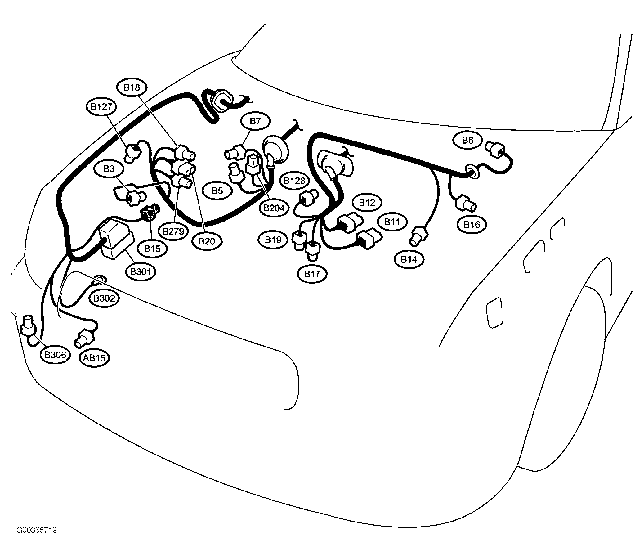 G00365719