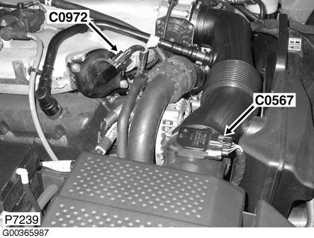 G00365987