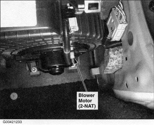 G00421233