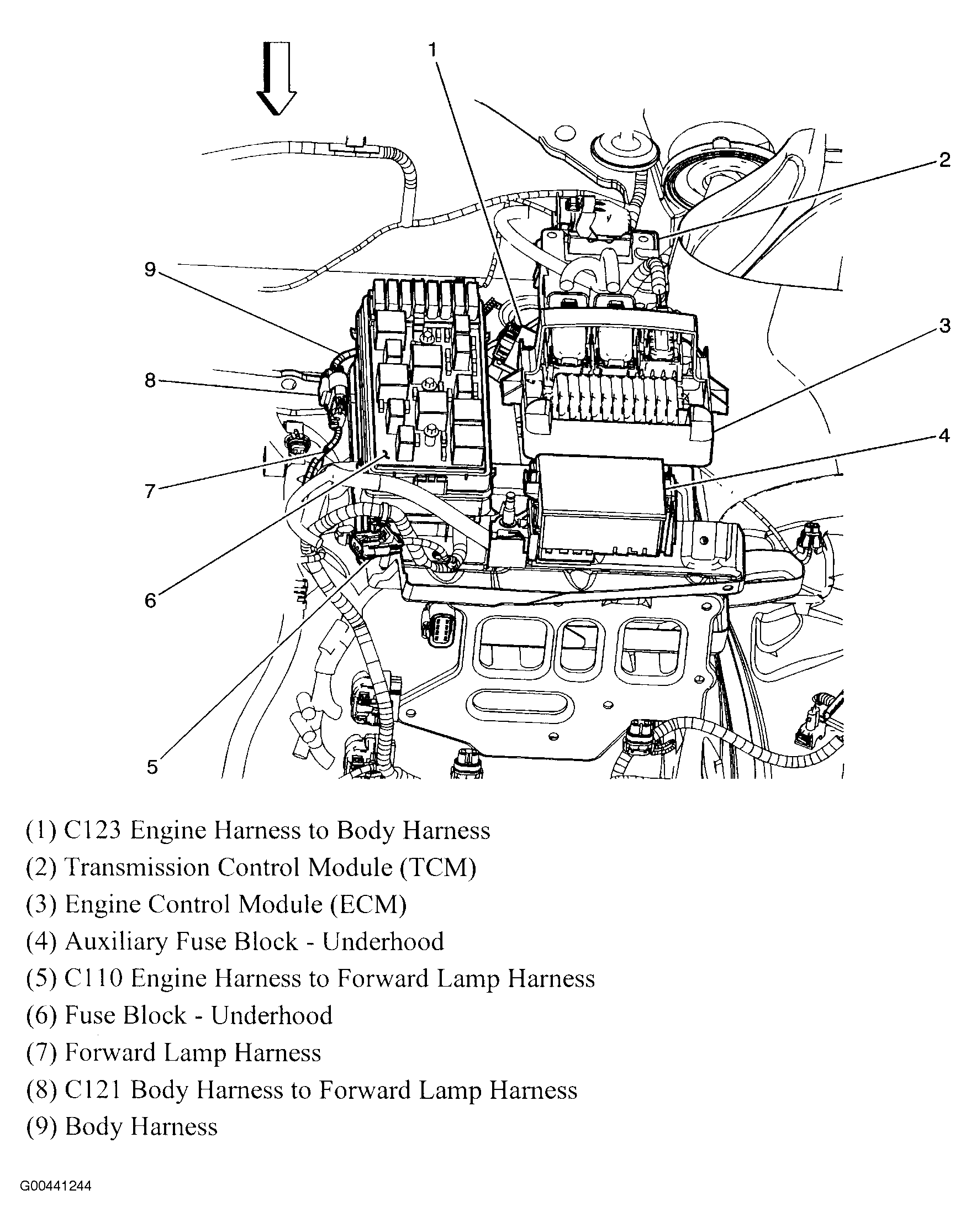 G00441244