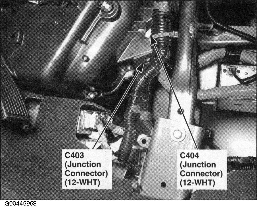 G00445963