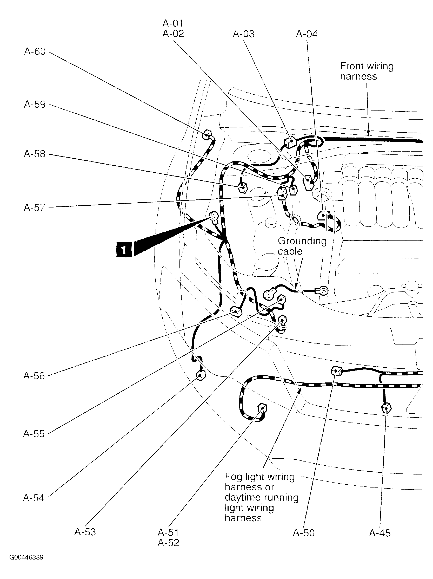 G00446389