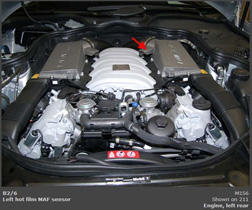 G00446493