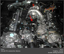 G00446691