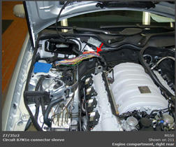 G00446781