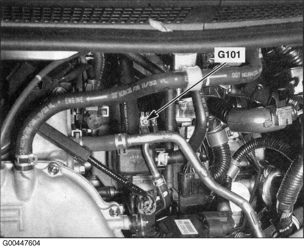 G00447604