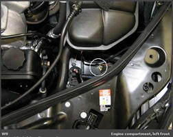 G00454262