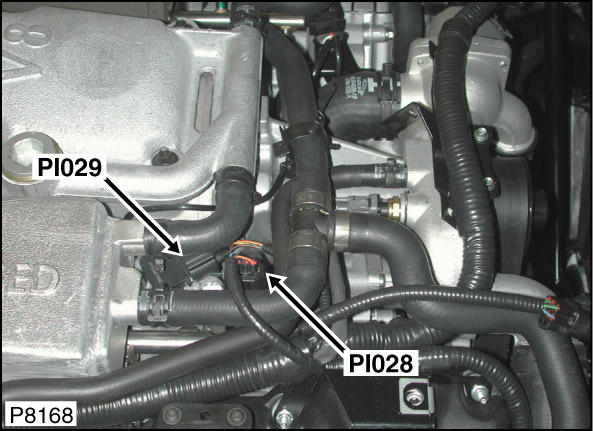 G00454558