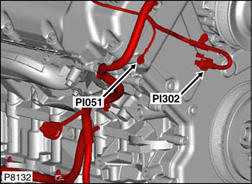 G00454560