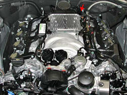 G00454810