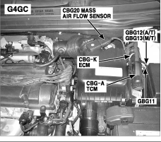 G00470033