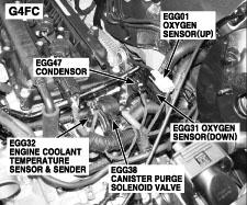 G00477952