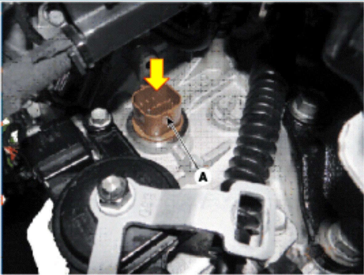 G00559818