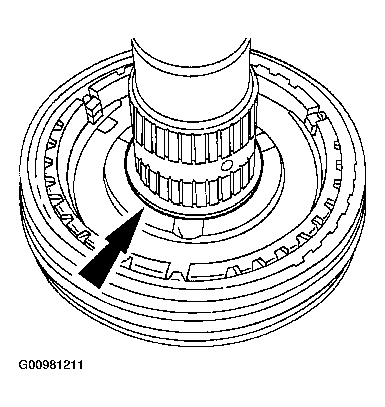 G00981211