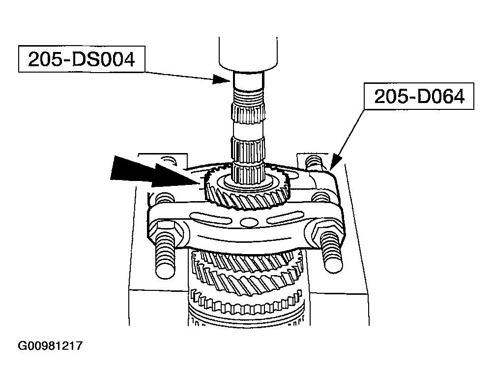 G00981217