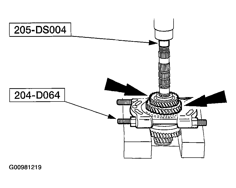 G00981219
