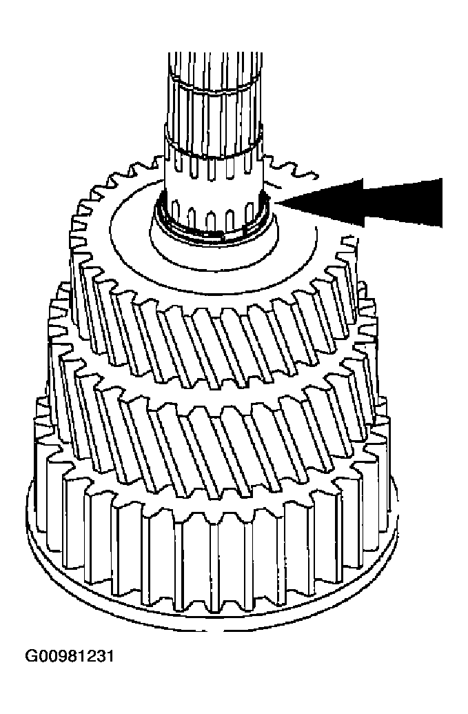 G00981231