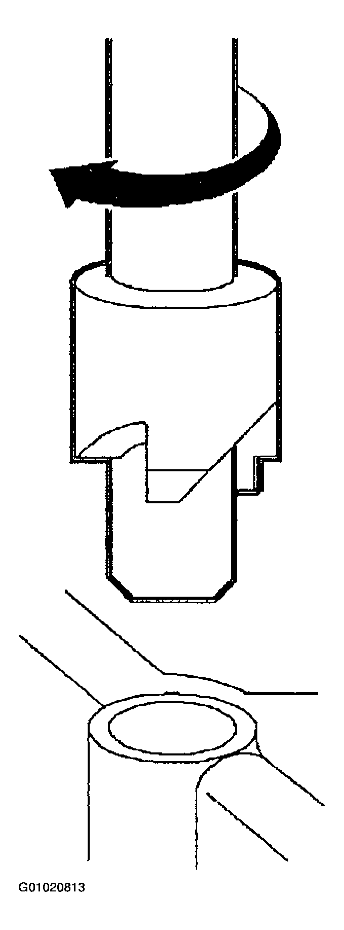 G01020813