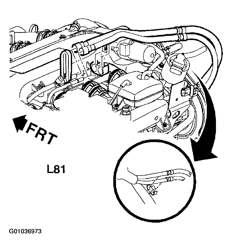 G01036973