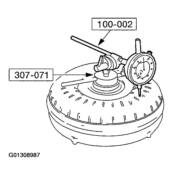 G01308987