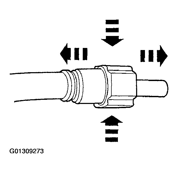 G01309273