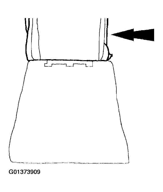 G01373909