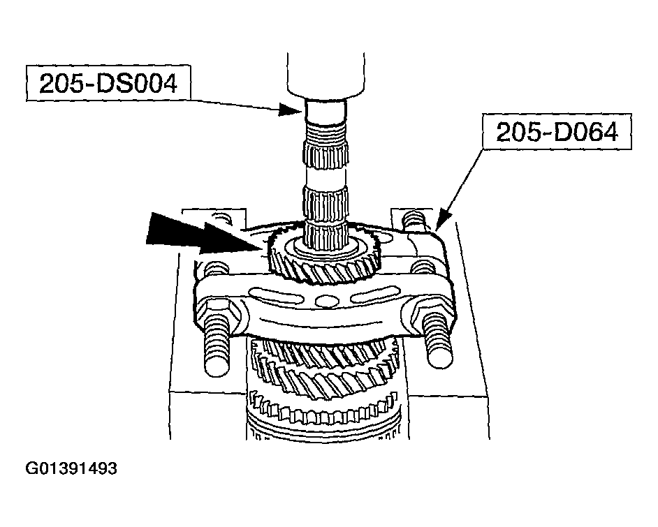 G01391493