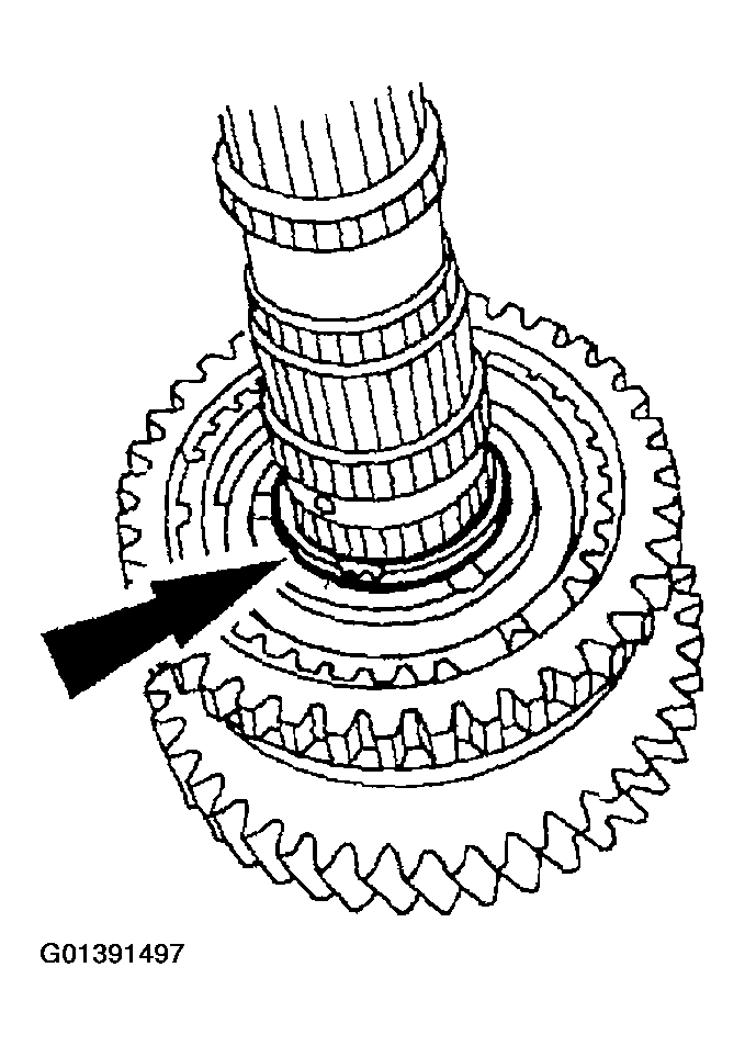 G01391497