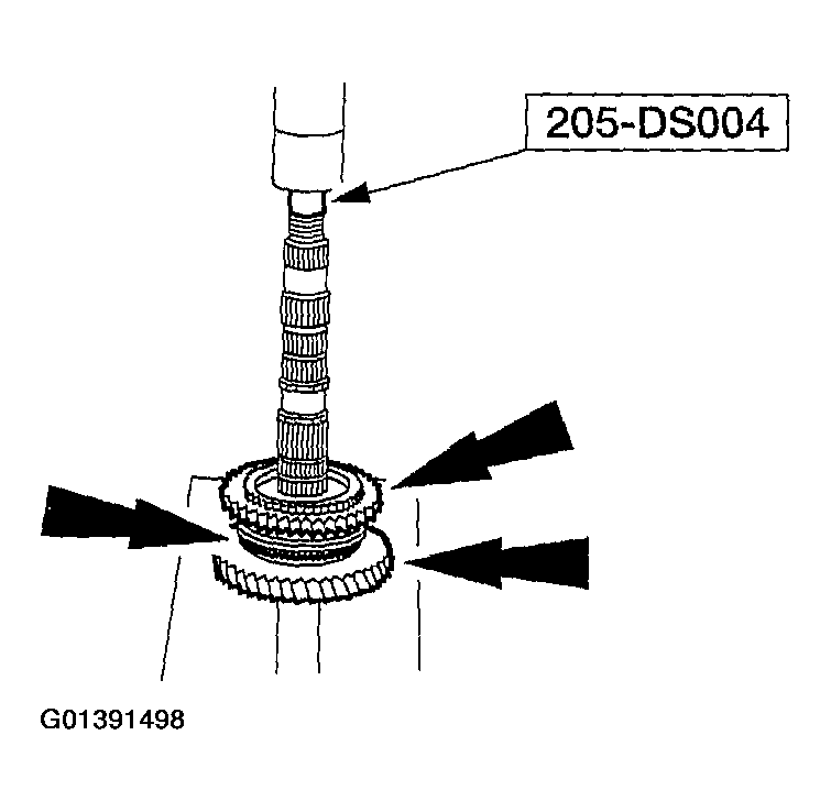 G01391498
