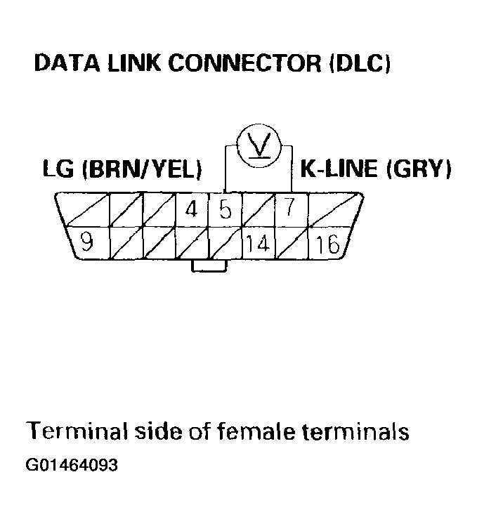 G01464093