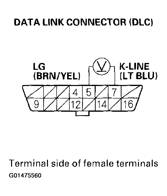 G01475560