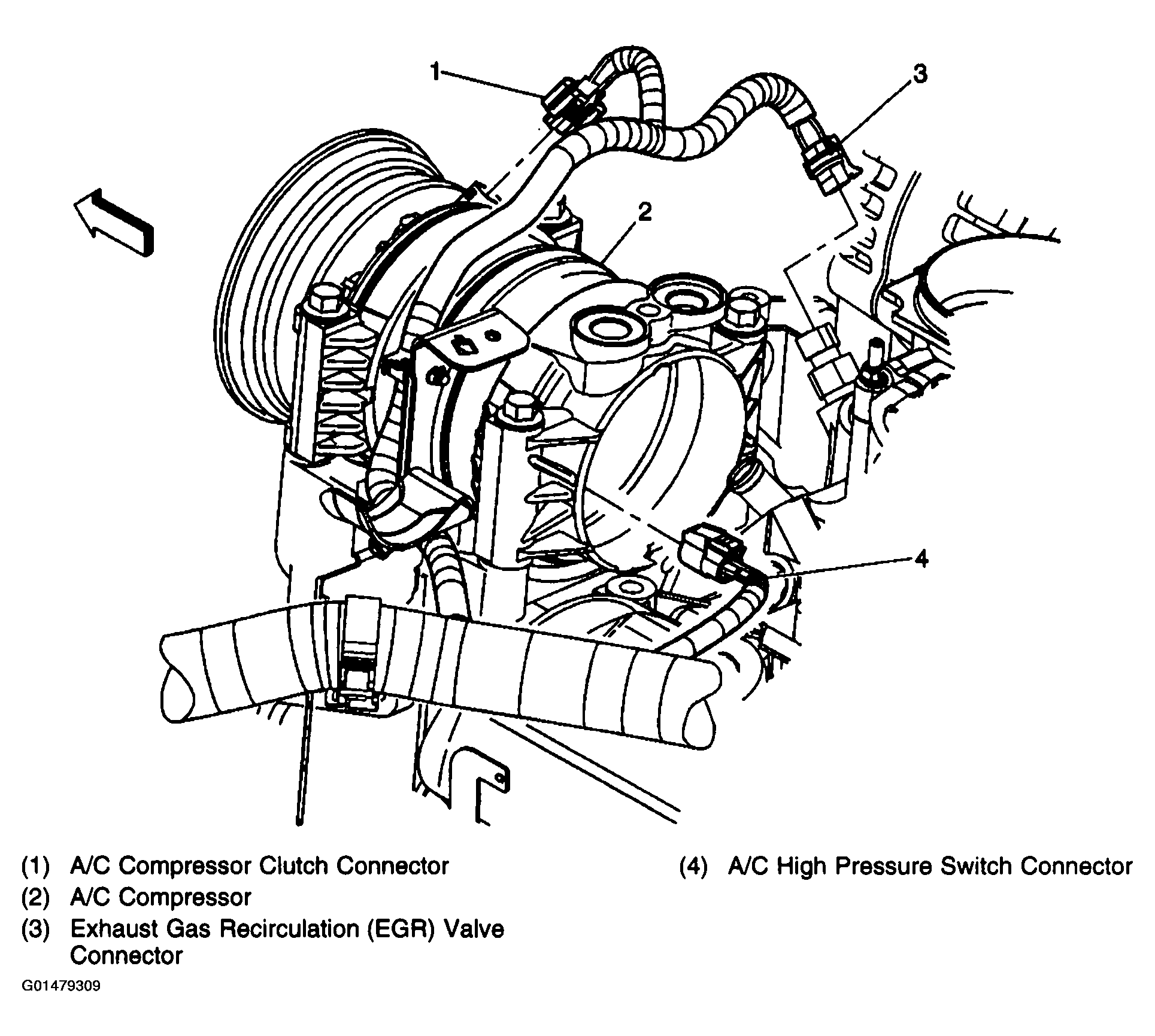 G01479309