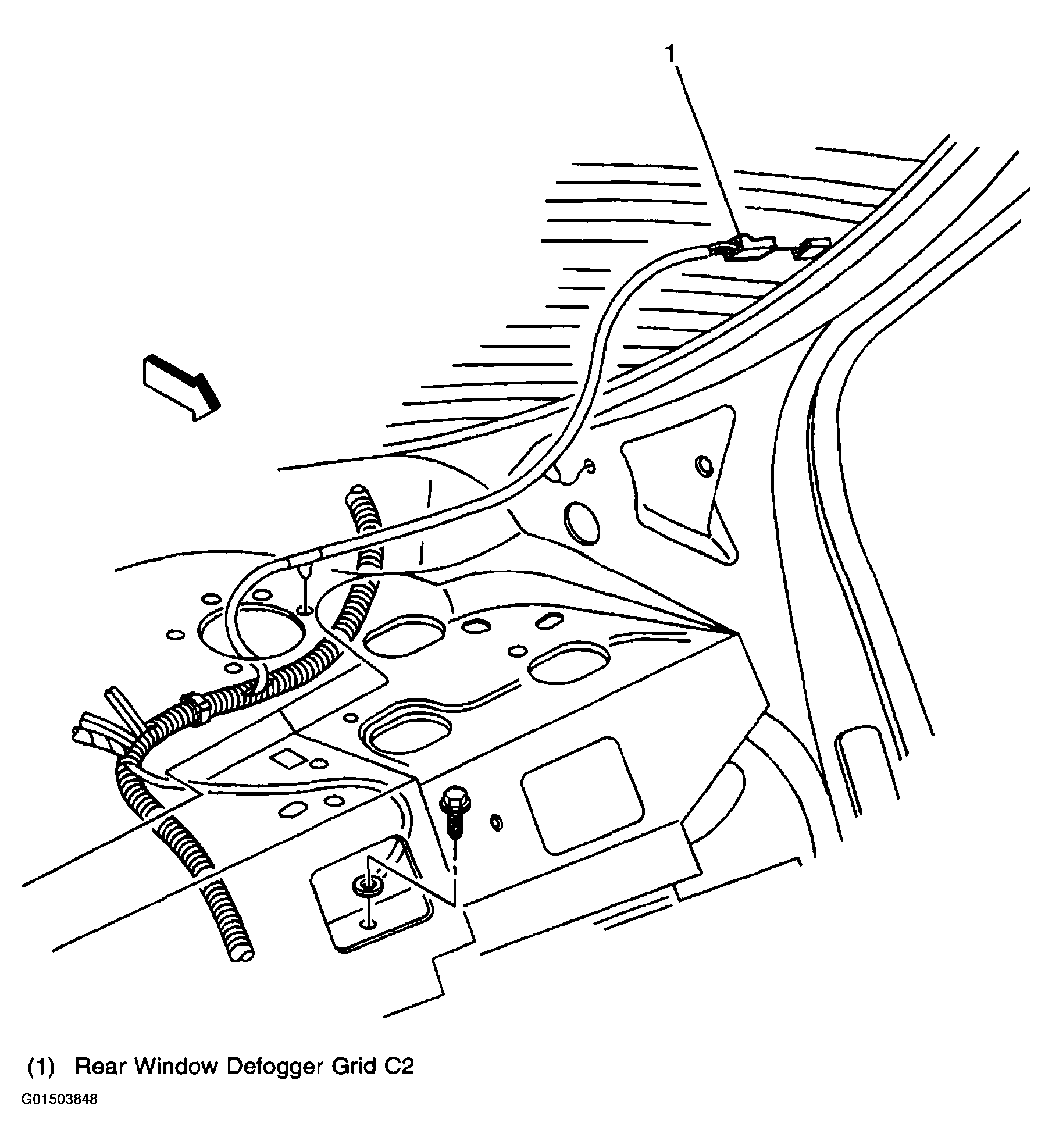 G01503848