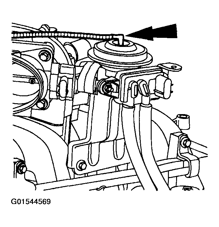 G01544569