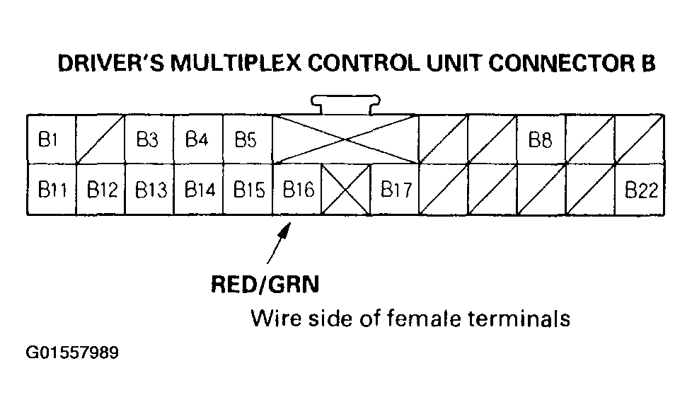 G01557989