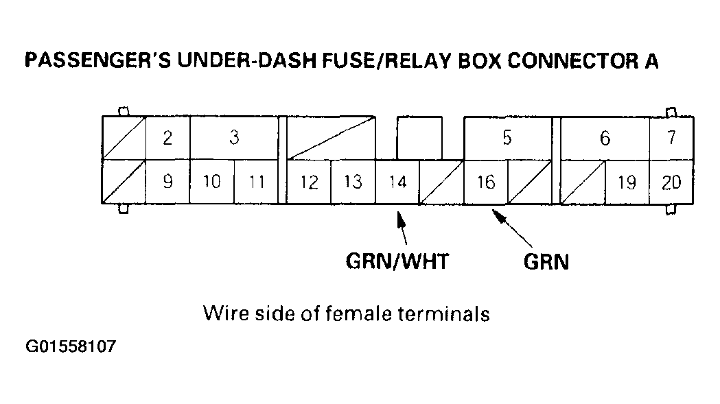 G01558107