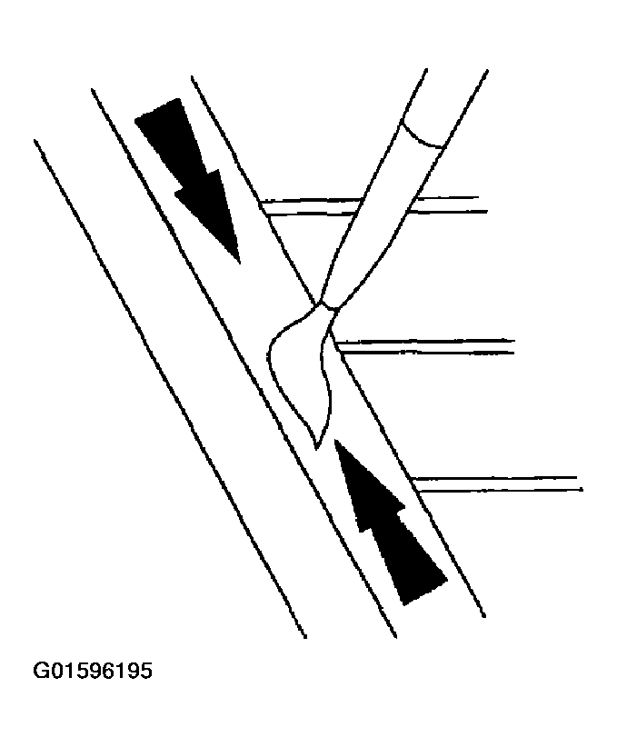 G01596195
