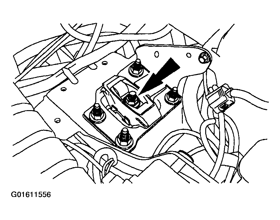 G01611556