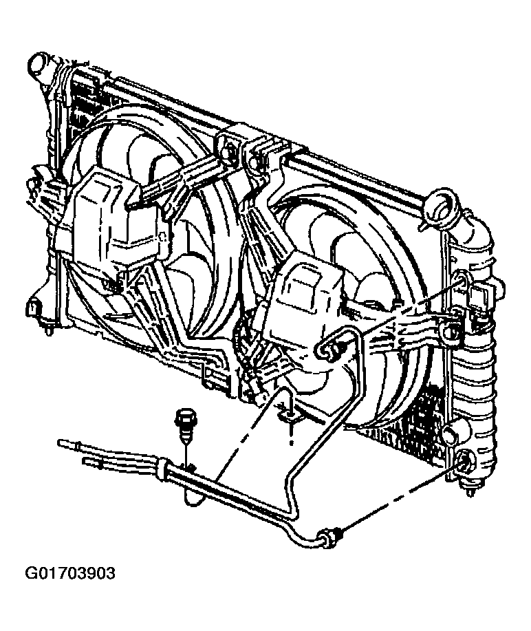 G01703903