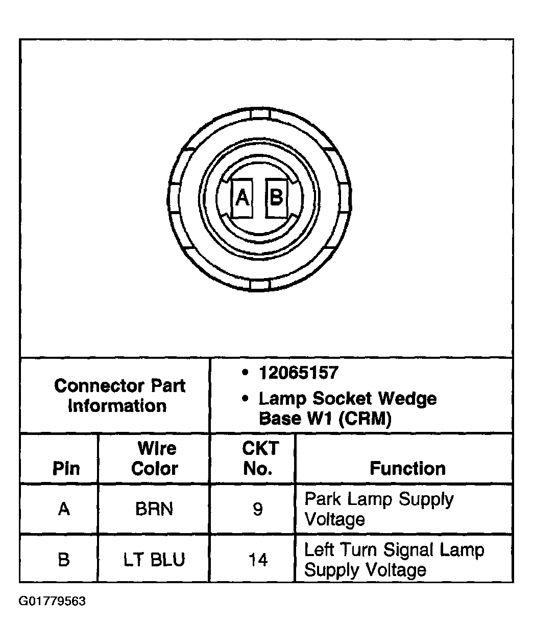 G01779563