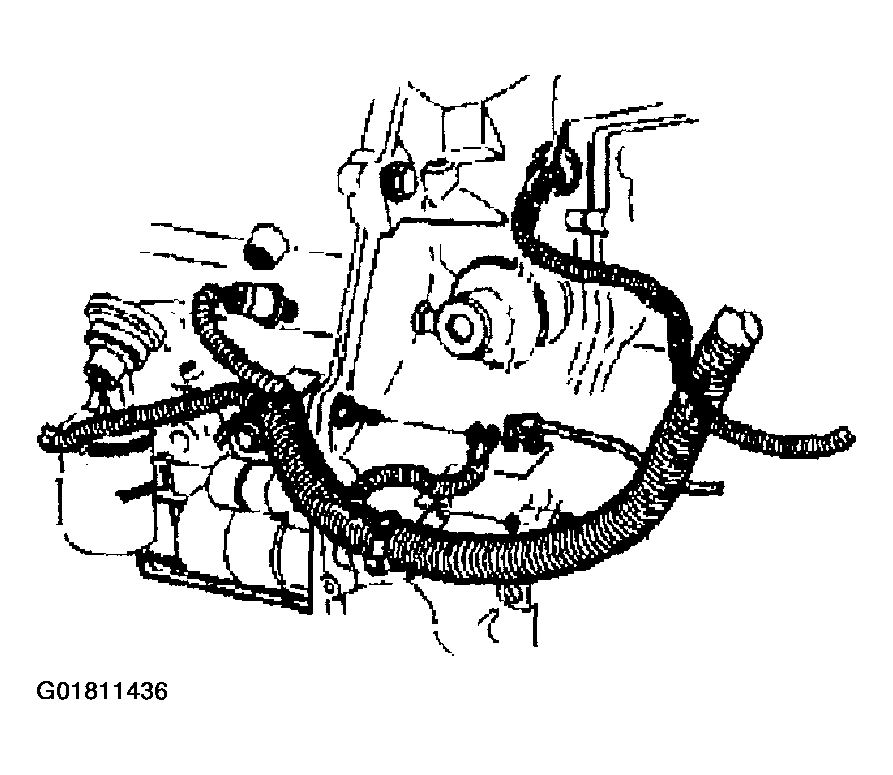 G01811436